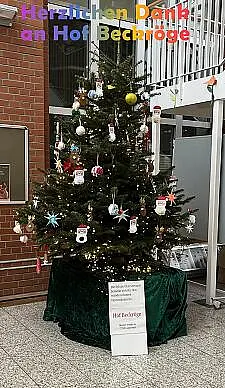 Geschmückter Tannenbaum 